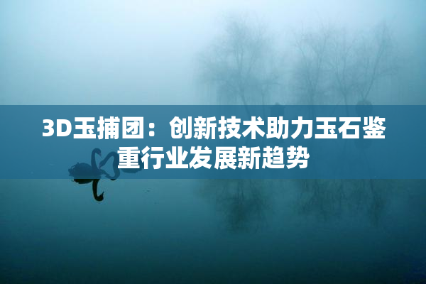 3D玉捕团：创新技术助力玉石鉴重行业发展新趋势