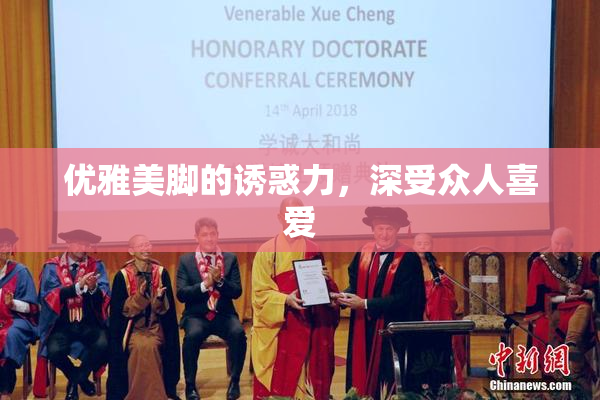 优雅美脚的诱惑力，深受众人喜爱