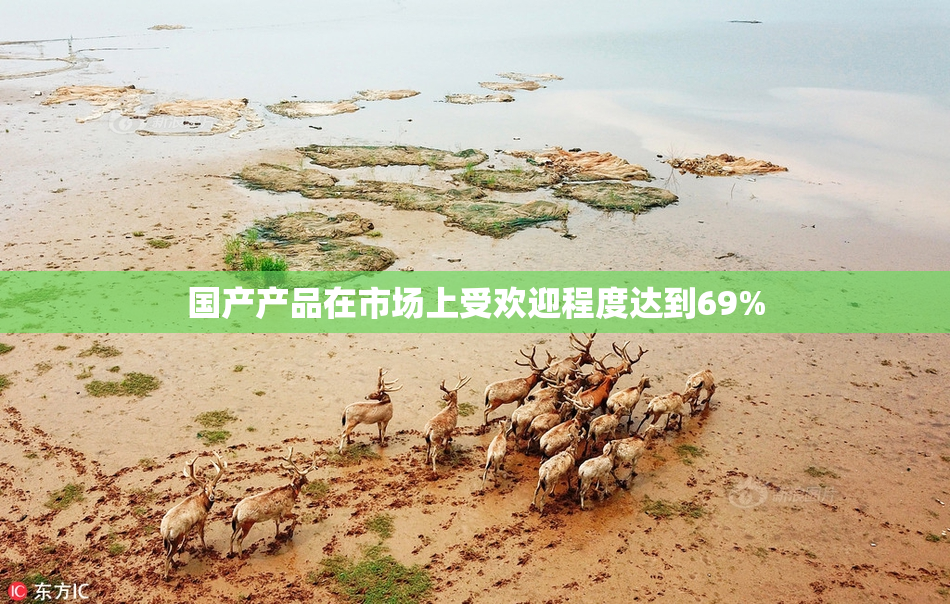 国产产品在市场上受欢迎程度达到69%