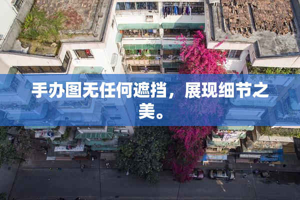 手办图无任何遮挡，展现细节之美。