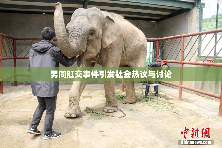 男同肛交事件引发社会热议与讨论