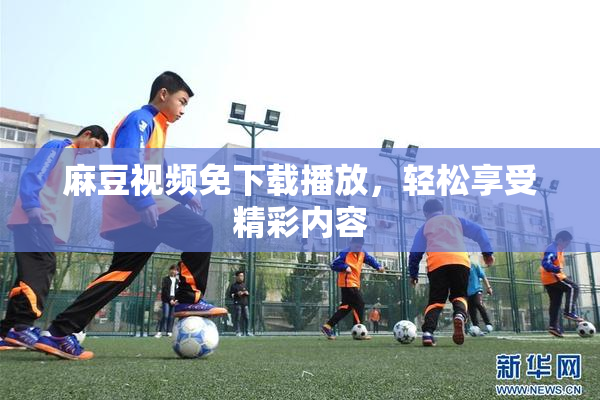 麻豆视频免下载播放，轻松享受精彩内容
