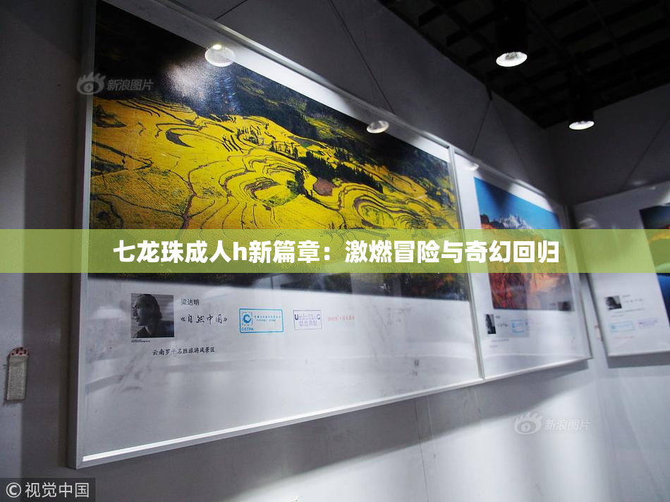 七龙珠成人h新篇章：激燃冒险与奇幻回归