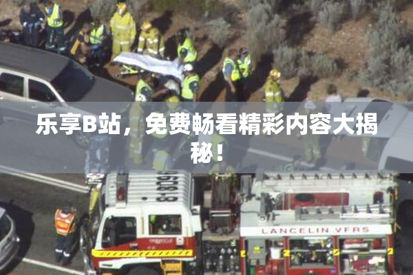 乐享B站，免费畅看精彩内容大揭秘！