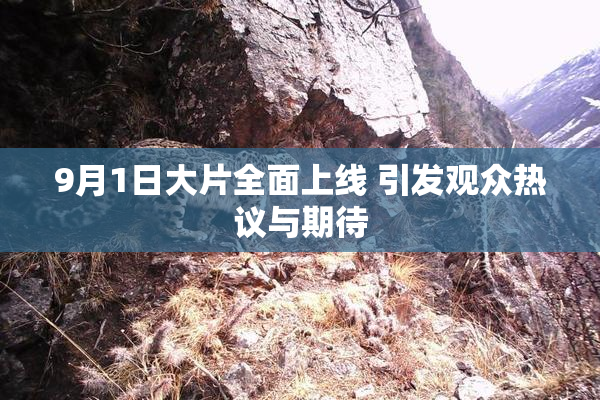 9月1日大片全面上线 引发观众热议与期待