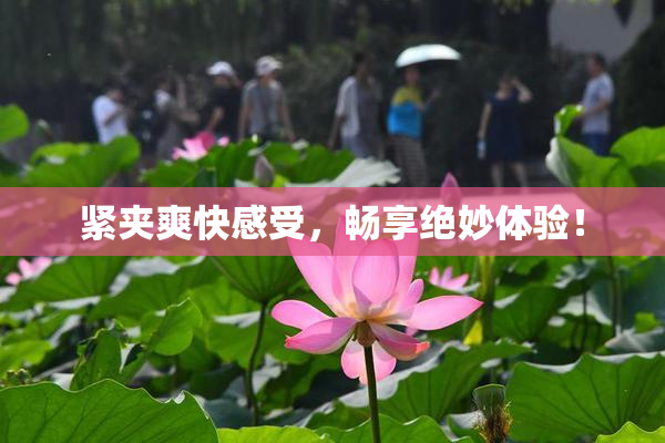 紧夹爽快感受，畅享绝妙体验！