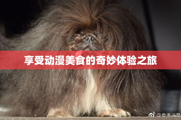 享受动漫美食的奇妙体验之旅