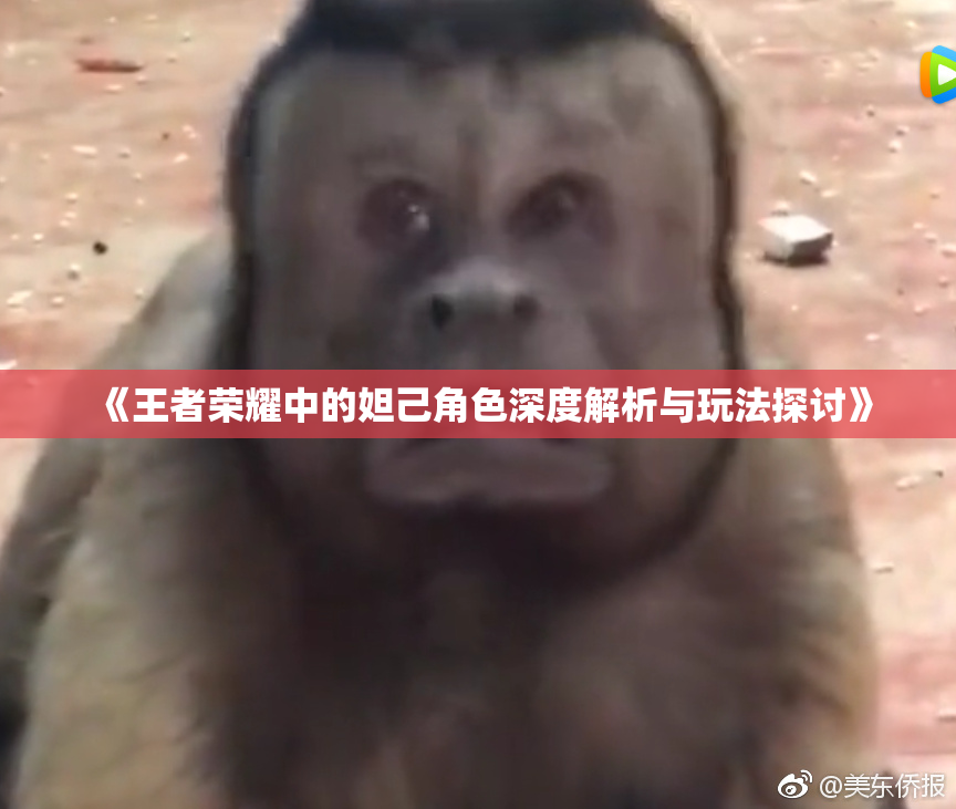《王者荣耀中的妲己角色深度解析与玩法探讨》