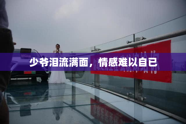 少爷泪流满面，情感难以自已