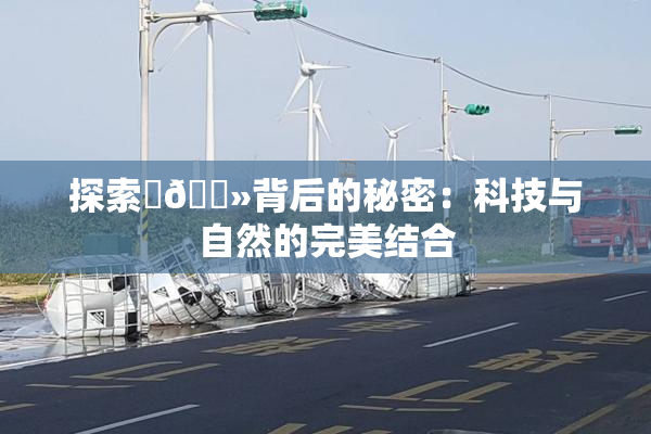 探索‌🐻背后的秘密：科技与自然的完美结合