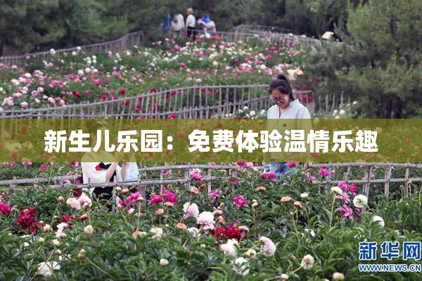 新生儿乐园：免费体验温情乐趣