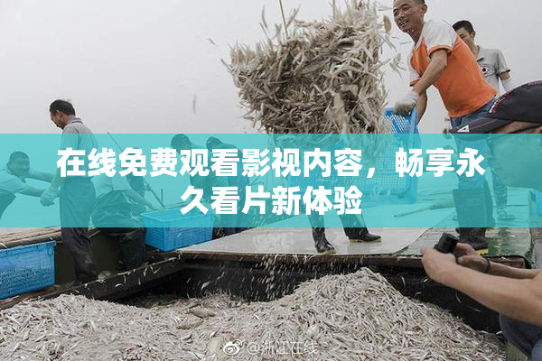 在线免费观看影视内容，畅享永久看片新体验