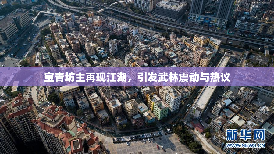 宝青坊主再现江湖，引发武林震动与热议