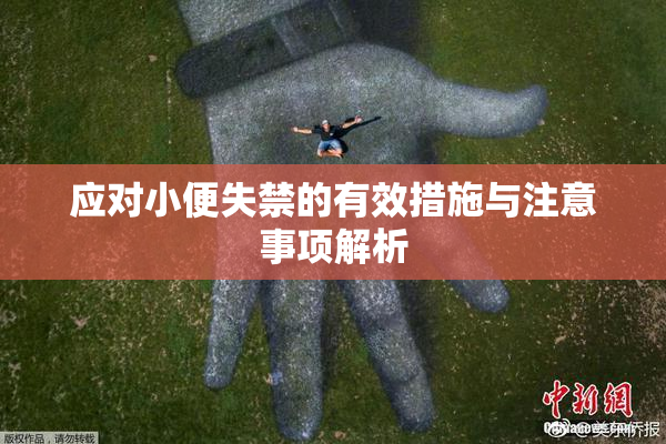应对小便失禁的有效措施与注意事项解析