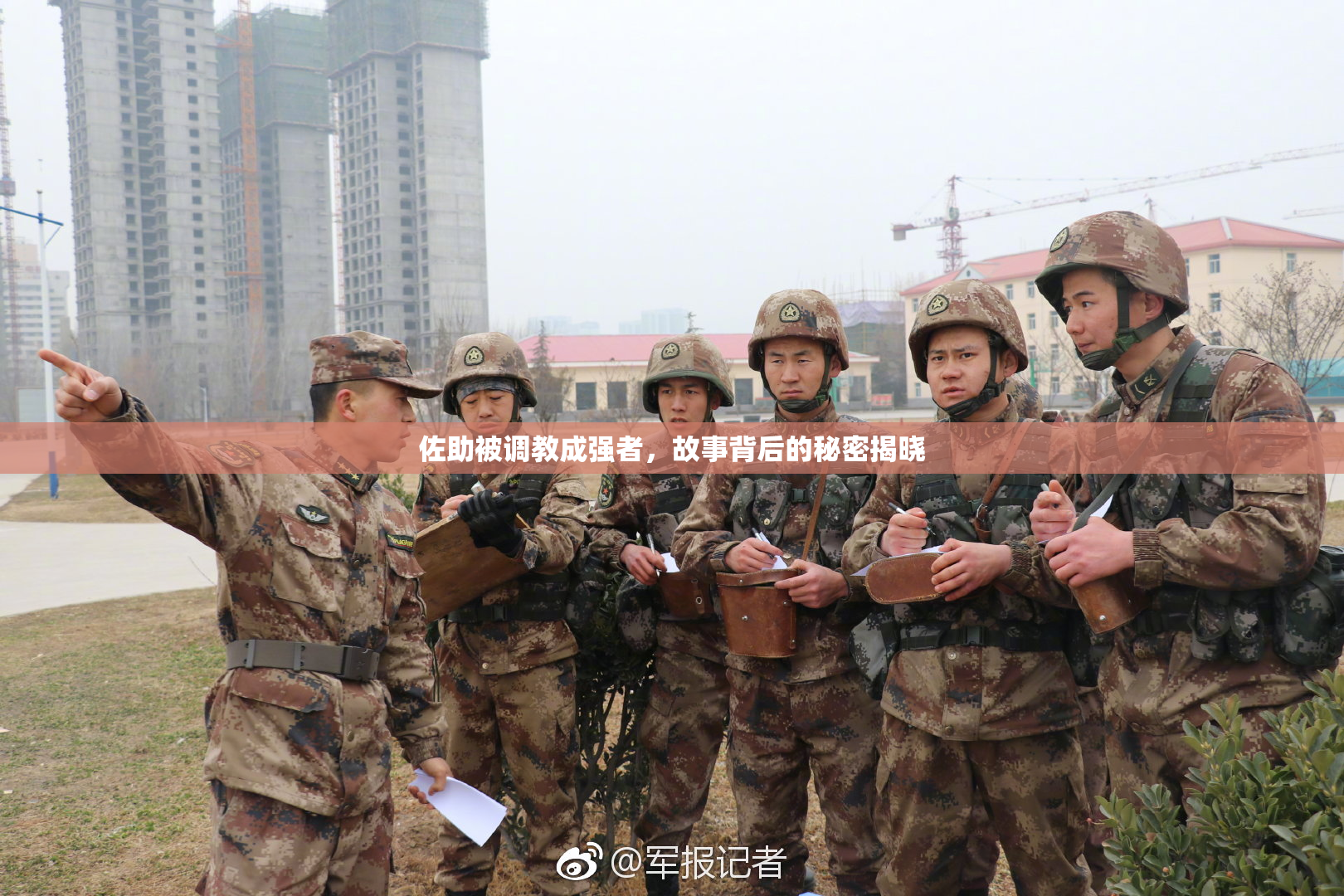 佐助被调教成强者，故事背后的秘密揭晓