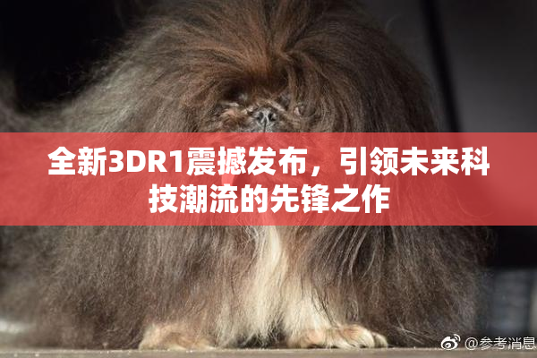 全新3DR1震撼发布，引领未来科技潮流的先锋之作