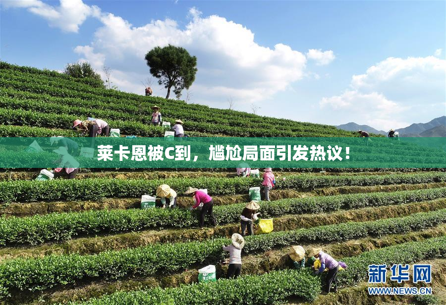 莱卡恩被C到，尴尬局面引发热议！