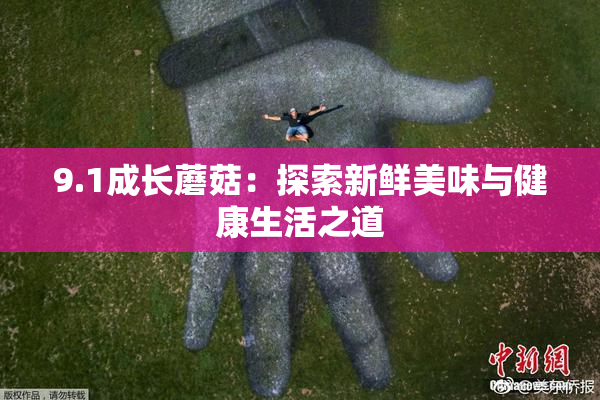 9.1成长蘑菇：探索新鲜美味与健康生活之道