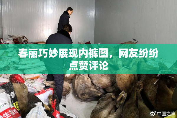 春丽巧妙展现内裤图，网友纷纷点赞评论