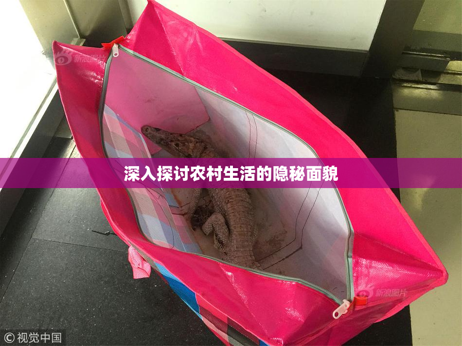 深入探讨农村生活的隐秘面貌