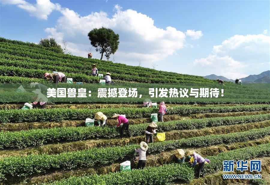 美国兽皇：震撼登场，引发热议与期待！
