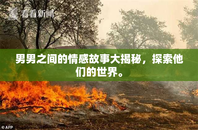 男男之间的情感故事大揭秘，探索他们的世界。