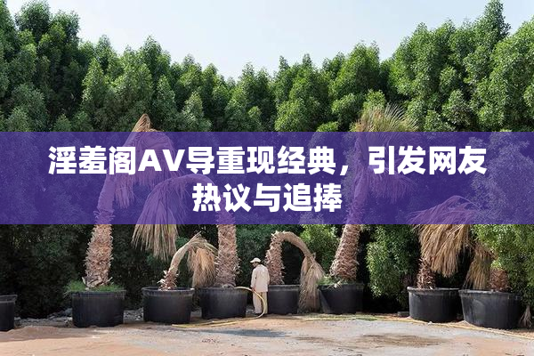 淫羞阁AV导重现经典，引发网友热议与追捧