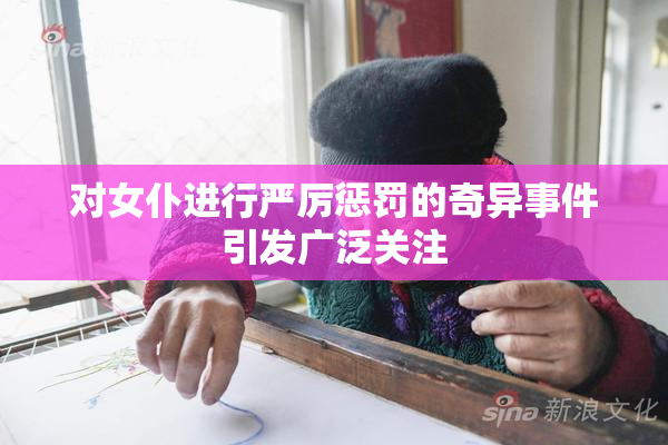 对女仆进行严厉惩罚的奇异事件引发广泛关注