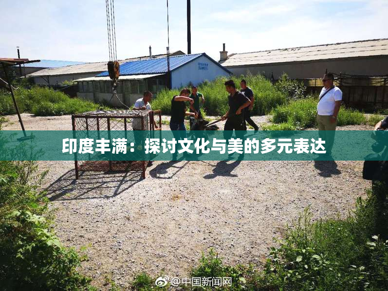 印度丰满：探讨文化与美的多元表达