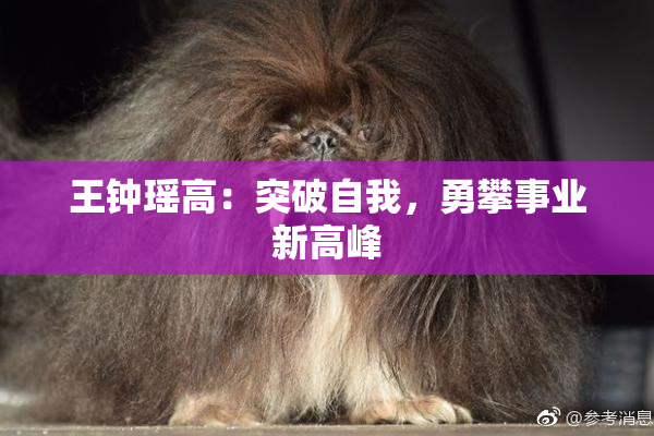 王钟瑶高：突破自我，勇攀事业新高峰