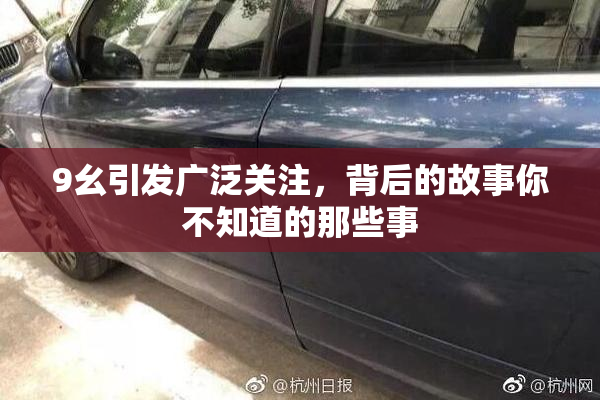 9幺引发广泛关注，背后的故事你不知道的那些事