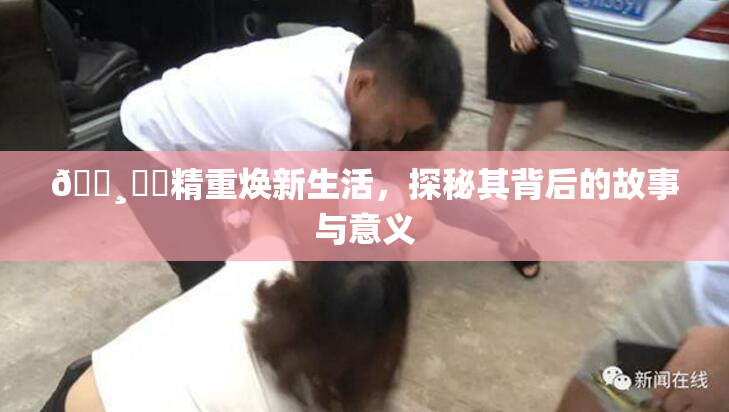 🌸‌✿精重焕新生活，探秘其背后的故事与意义