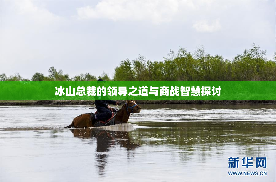 冰山总裁的领导之道与商战智慧探讨