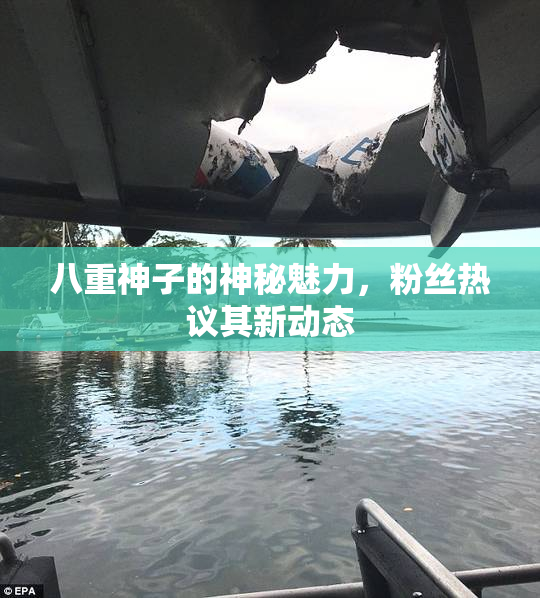 八重神子的神秘魅力，粉丝热议其新动态