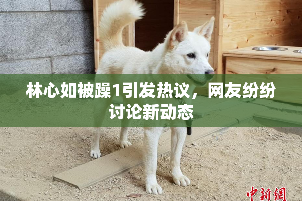 林心如被躁1引发热议，网友纷纷讨论新动态