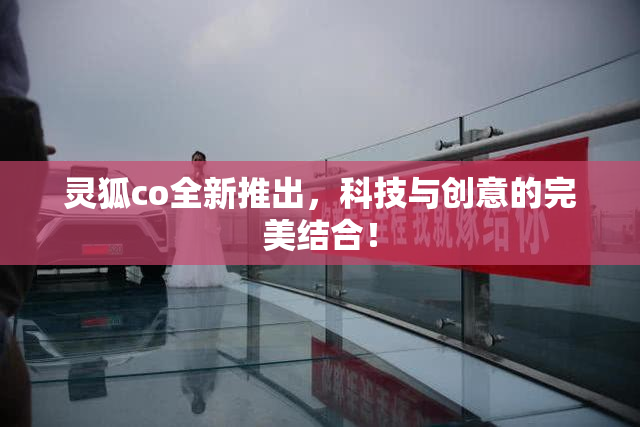 灵狐co全新推出，科技与创意的完美结合！
