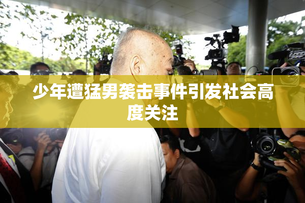少年遭猛男袭击事件引发社会高度关注