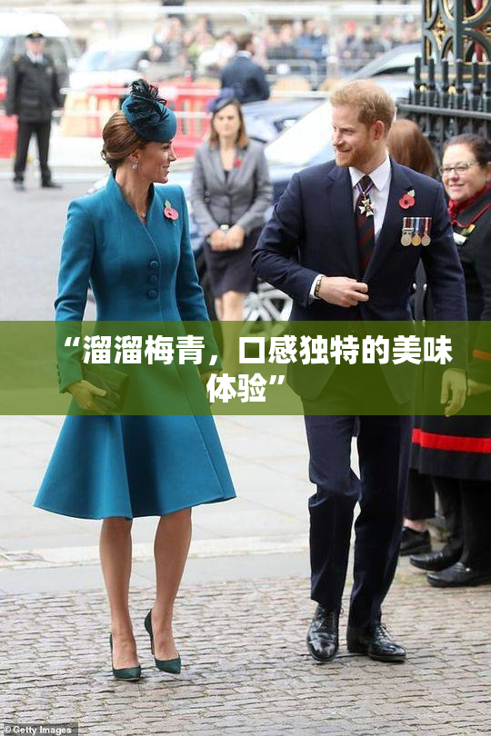 “溜溜梅青，口感独特的美味体验”
