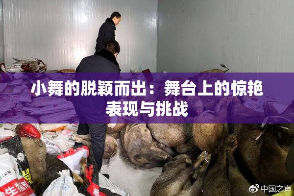 小舞的脱颖而出：舞台上的惊艳表现与挑战
