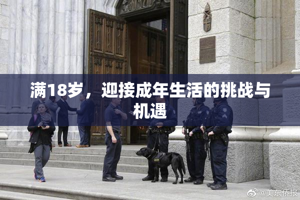 满18岁，迎接成年生活的挑战与机遇