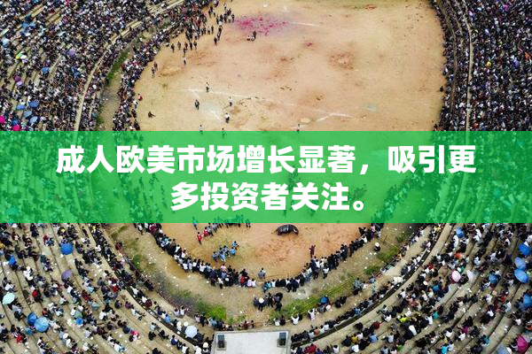 成人欧美市场增长显著，吸引更多投资者关注。