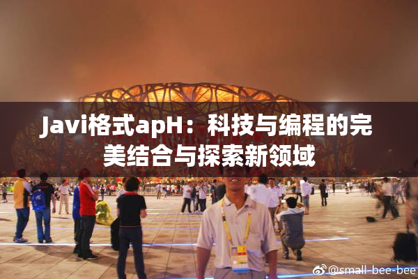 Javi格式apH：科技与编程的完美结合与探索新领域