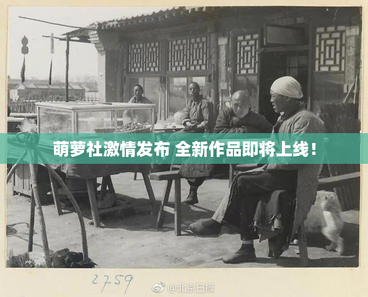 萌萝社激情发布 全新作品即将上线！