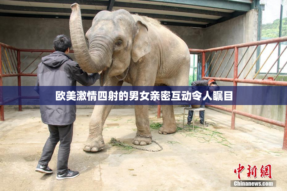 欧美激情四射的男女亲密互动令人瞩目