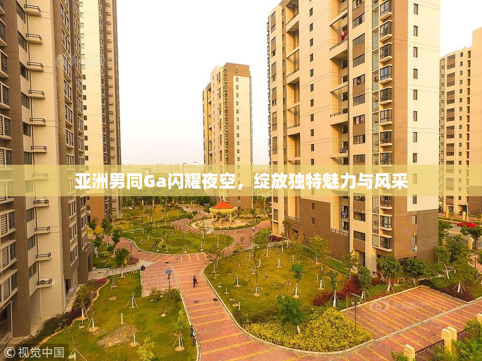 亚洲男同Ga闪耀夜空，绽放独特魅力与风采
