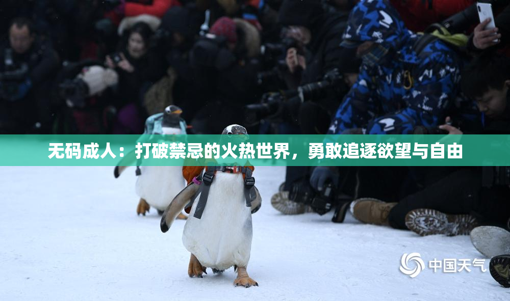 无码成人：打破禁忌的火热世界，勇敢追逐欲望与自由