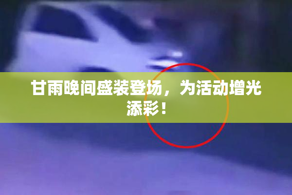 甘雨晚间盛装登场，为活动增光添彩！