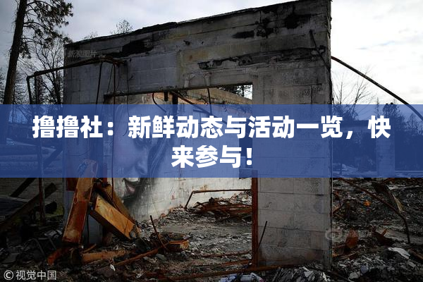 撸撸社：新鲜动态与活动一览，快来参与！