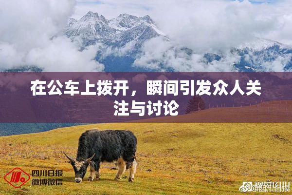 在公车上拨开，瞬间引发众人关注与讨论