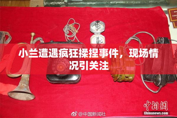 小兰遭遇疯狂揉捏事件，现场情况引关注